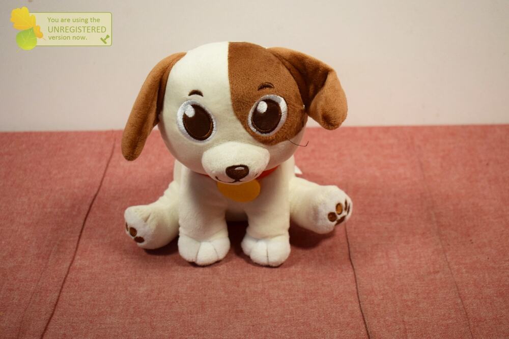 Chuckle & Roar Hide & Seek Puppy Plush